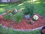 Click image for larger version

Name:	flowerbed2.jpg
Views:	145
Size:	272.3 KB
ID:	35006