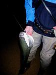 Click image for larger version

Name:	060109_cape_cod_surf_fishing_7.jpg
Views:	231
Size:	47.4 KB
ID:	36212
