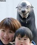 Click image for larger version

Name:	scary-seal.jpg
Views:	1148
Size:	20.5 KB
ID:	36215