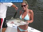 Click image for larger version

Name:	hot_girl_striper.jpg
Views:	7734
Size:	50.3 KB
ID:	44099