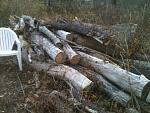 Click image for larger version

Name:	firewood.JPG
Views:	257
Size:	152.0 KB
ID:	49402
