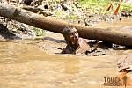 Click image for larger version

Name:	Mud tunnels 3.jpg
Views:	355
Size:	138.6 KB
ID:	51956