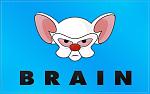 Click image for larger version

Name:	pinky-and-the-brain-flag-wallpaper-2560x1600-large2.jpg
Views:	571
Size:	107.1 KB
ID:	62708