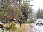Click image for larger version

Name:	tree branch down.jpg
Views:	86
Size:	262.3 KB
ID:	68489