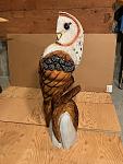 Click image for larger version

Name:	barn owl 1.jpg
Views:	52
Size:	115.4 KB
ID:	70232