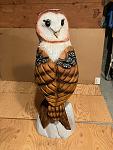 Click image for larger version

Name:	barn owl 2.jpg
Views:	54
Size:	110.0 KB
ID:	70233