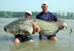 Click image for larger version

Name:	54fish.jpg
Views:	313
Size:	22.2 KB
ID:	7807
