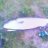 angler229