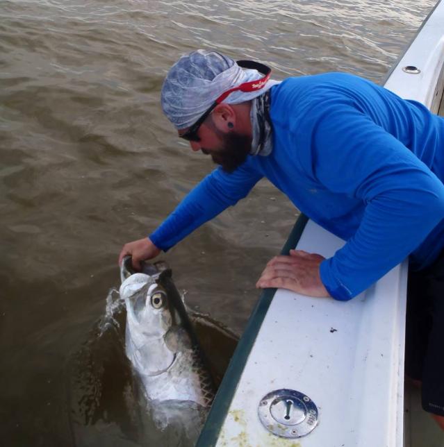 Tarpon