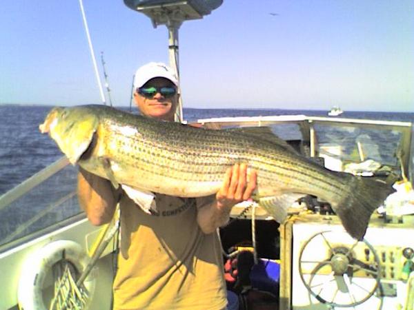 big fish 2008