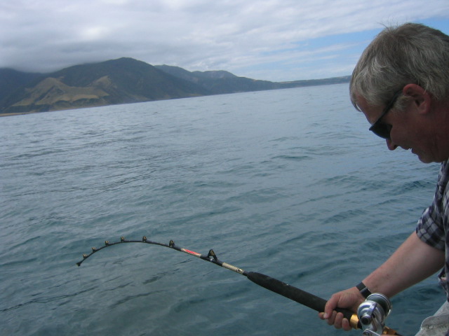 catching groper in palliser bay