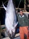 900lb Giant Bluefin Tuna