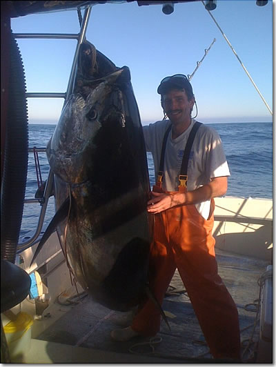 freak-tuna-705-1a