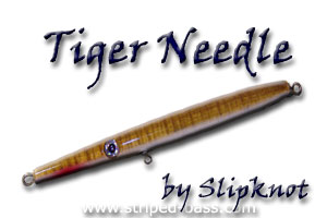 tiger needlefish