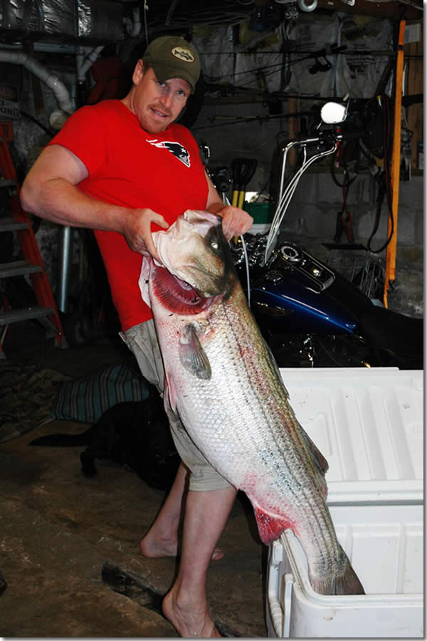 world-record-striped-bass-record-3